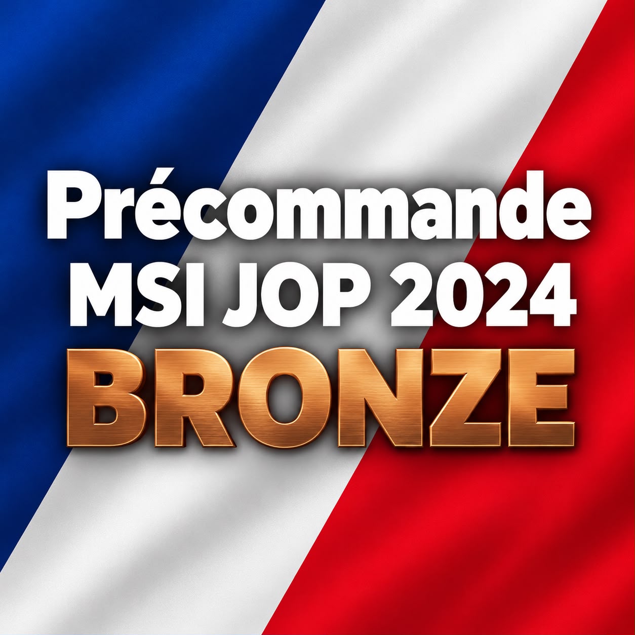 Médaille de la Sécurité Intérieure - Bronze